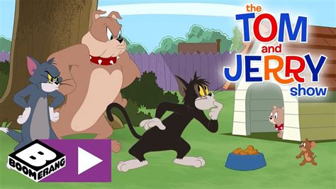 youtube tom og jerry|tom and jerry short videos.